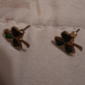 st pattys day earringsFinal price pls can' tafford any more discount